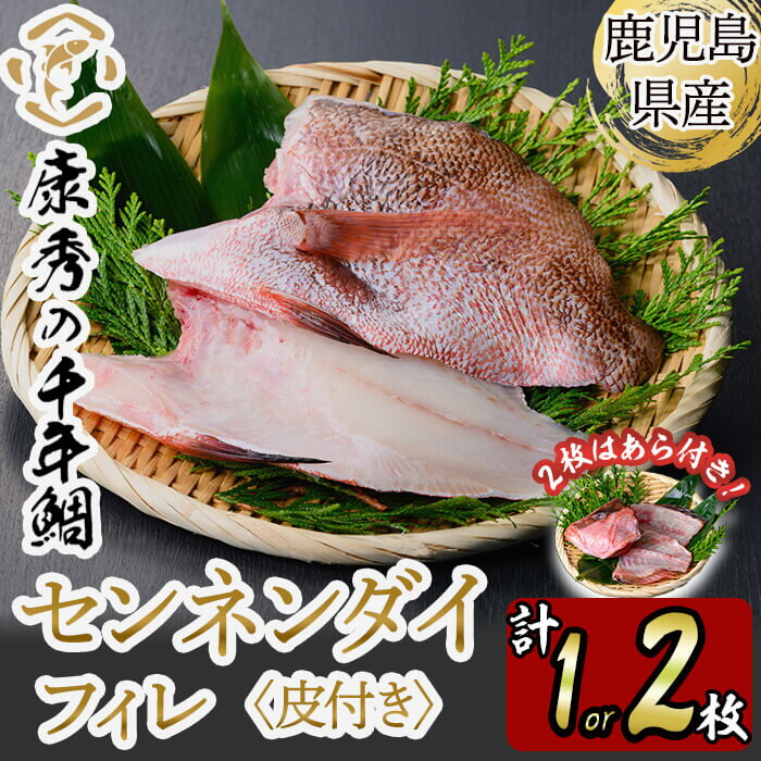【ふるさと納税】【容量が選べる！】鹿児島県垂水市産康秀の千年鯛 フィレ 皮つき 1枚 or 2枚（計300g or 600g）魚 魚介 海鮮 センネンダイ 千年鯛 刺身 柵 しゃぶしゃぶ 冷凍 国産 お祝い 鹿児島産 垂水【株式会社康秀】