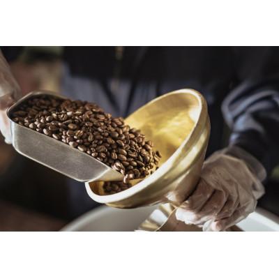 ふるさと納税 守口市 ゴールド珈琲のブレンドコーヒー2kg(豆) |  | 03