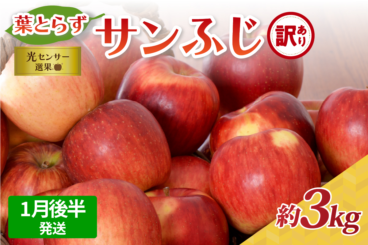 【2026年1月後半発送】【訳あり】青森県産葉とらずサンふじりんご約3kg
