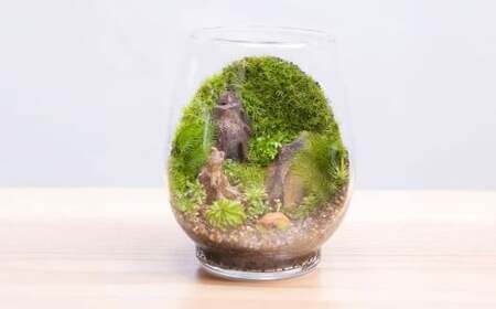 匠の土 崩れま宣言 5kg（1kg×5袋） 