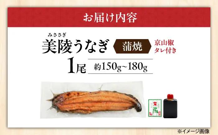 鰻 鰻の蒲焼 1尾 BLAM001