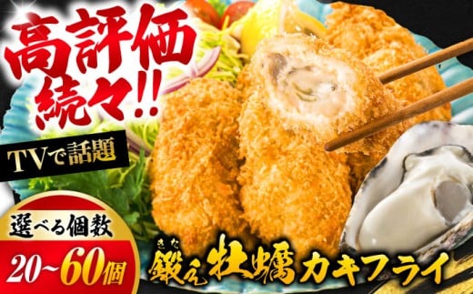 鍛え牡蠣のカキフライ 60個入り 江田島市／有限会社寺本水産 [XAE017]