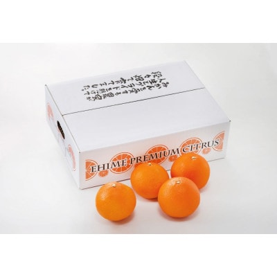【12月上旬〜順次発送】紅まどんなと同品種　みさき果樹園の愛まどんな3kg【E21−36】【1614186】
