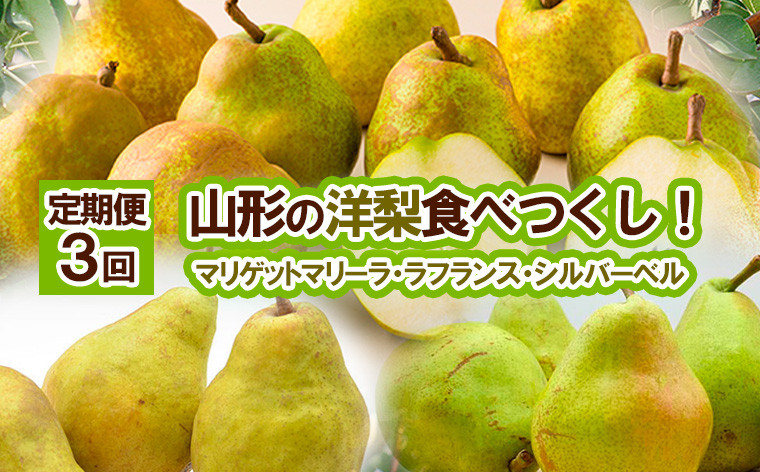 
            ★定期便3回★山形の洋梨食べつくし！(マリゲットマリーラ・ラフランス・シルバーベル)  【令和8年産先行予約】FS25-688 くだもの 果物 フルーツ 山形 山形県 山形市 2026年産
          