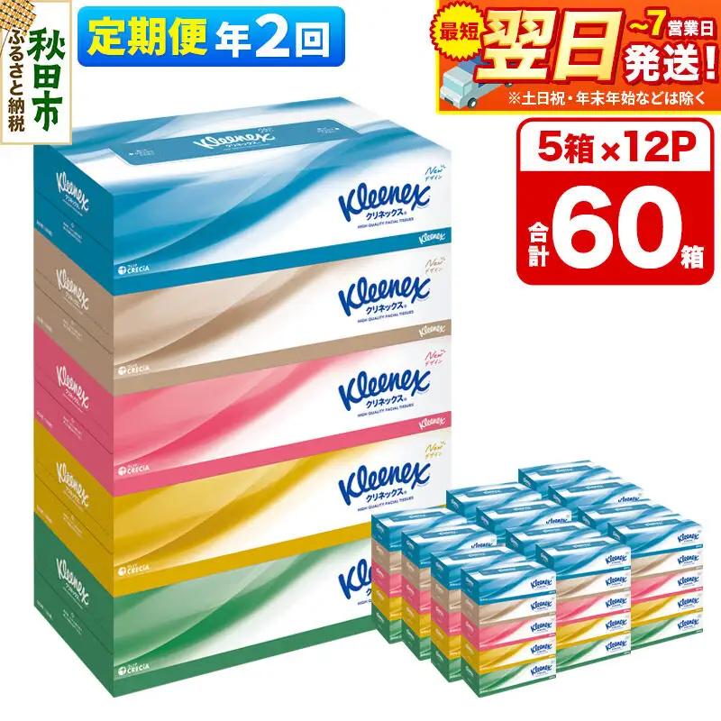 《6ヶ月ごとに2回お届け》定期便 ティッシュ クリネックス ティシュー 5箱×12パック 最短翌日発送