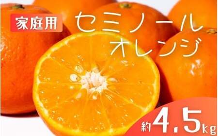 オレンジ 家庭用セミノールオレンジ 約4.5kg 【mrmt027】 