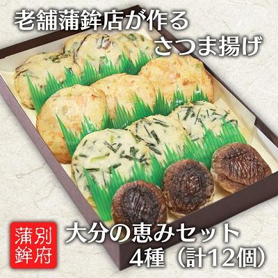 ふるさと納税 日出町 さつま揚げ(天ぷら) 大分の恵みセット 4種/12個入り