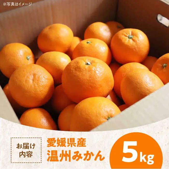 【みかん】温州みかん 5kg（南柑20号）[AGAW001]