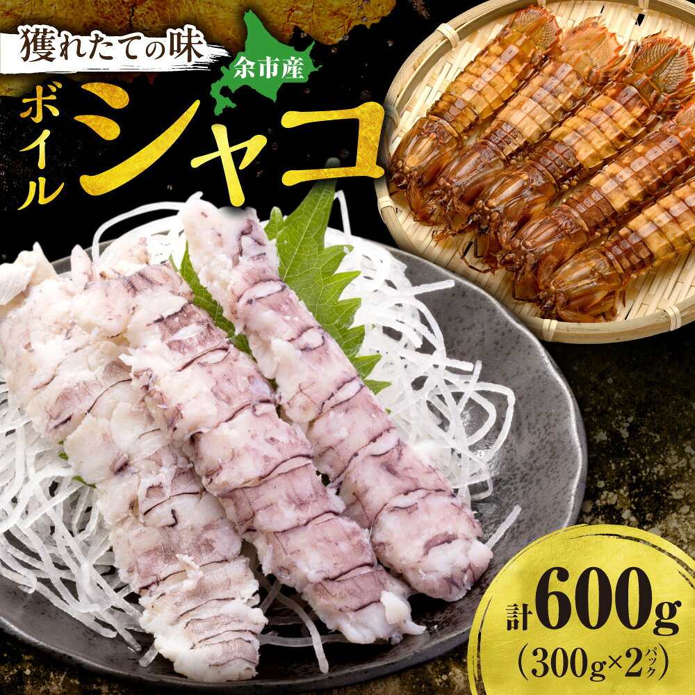 【ふるさと納税】獲れたての味！北海道余市産 ボイルシャコ 300g×2パック 計600g 冷凍 国産 蝦蛄 殻付き 解凍後そのまま 刺身 寿司 天ぷら 鍋 わさび醤油 プリプリ食感 高タンパク DHA EPA 北海道 余市町 送料無料