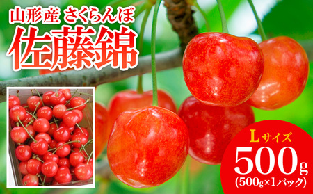 山形産 さくらんぼ 佐藤錦 L 500g 【令和8年産先行予約】FS25-505