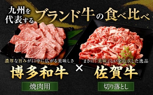 博多和牛 焼肉用 500g×2P ＋ 佐賀牛 切り落とし 400g×2P 計1.8kg（計4パック） 牛 和牛 牛肉 お肉 肉 にく 切落し 赤身 肩肉 バラ肉 冷凍