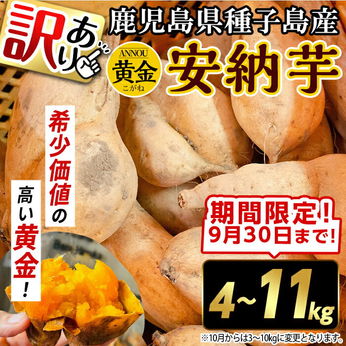 【ふるさと納税】＜期間限定容量！先行予約受付中！2025年9月下旬頃から12月中の発送予定＞《訳あり》内容量が選べる！種子島産 安納芋＜黄金＞(4～11kg) 国産 安納芋 黄金 焼き芋 焼芋 種子島 さつま芋 安納いも 野菜 【うずえ屋】