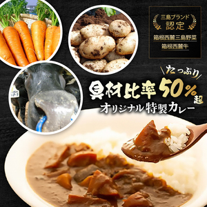 レトルトカレー 4食 箱根山麓 プレミアム レトルトカレー