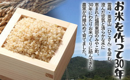 定期便 玄米 米 令和8年産 元気つくし（玄米） 5kg 3回定期便 チャック付き チャック 防虫 ごはん おにぎり おやつ 福岡県 みやこ町産 福岡 九州 グルメ お取り寄せ