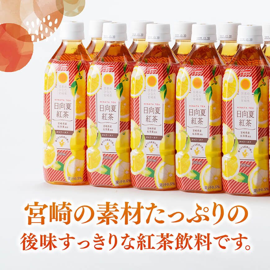 【6ヶ月定期便】サンA 日向夏 紅茶 HINATA TEA 500mlＰＥＴ 24本入り × 2ケース 【飲料 日向夏 紅茶 PET ジュース 長期保存 送料無料】