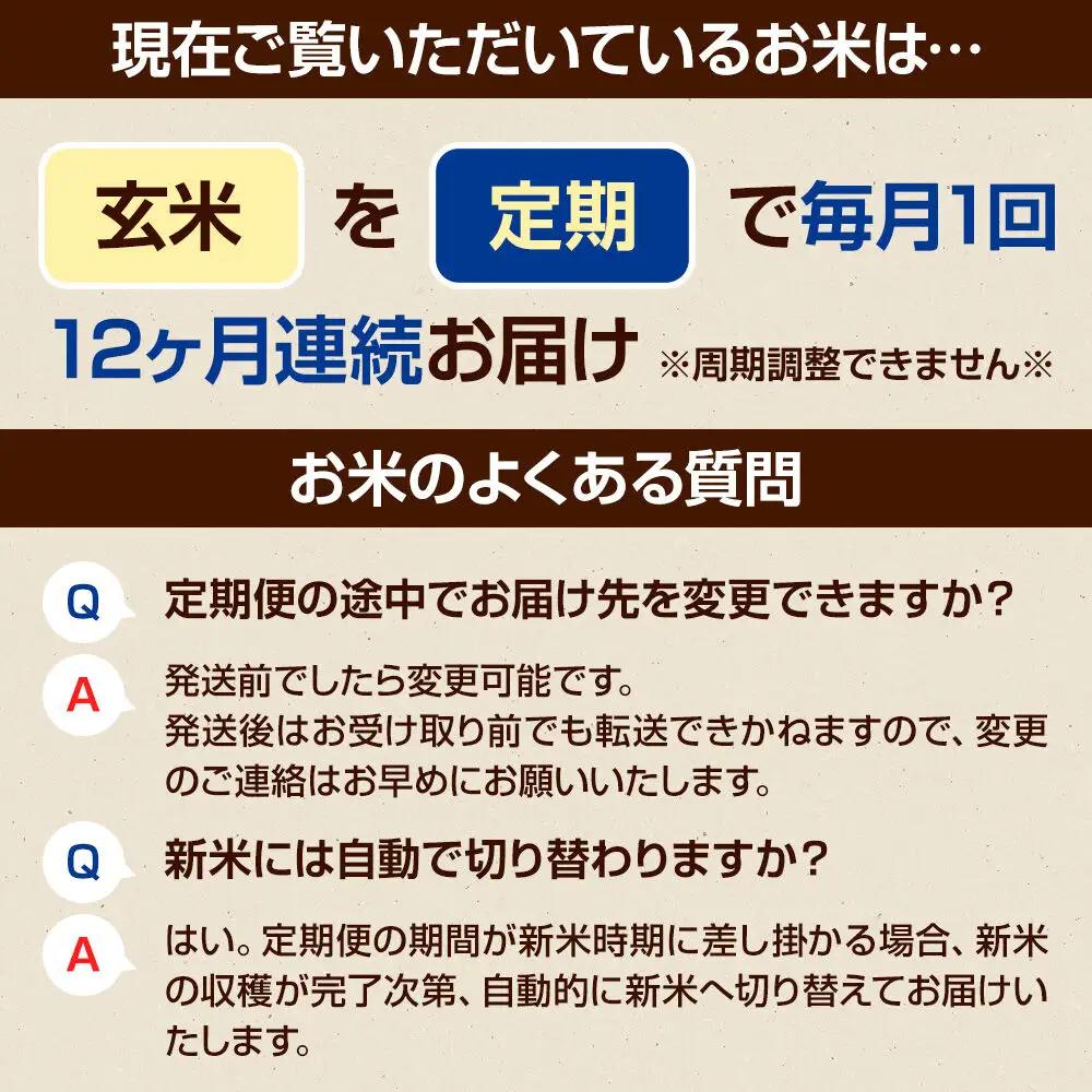 令和8年産【玄米】《定期便12回》真田のコシヒカリ小松姫 5kg×1袋 金井農園