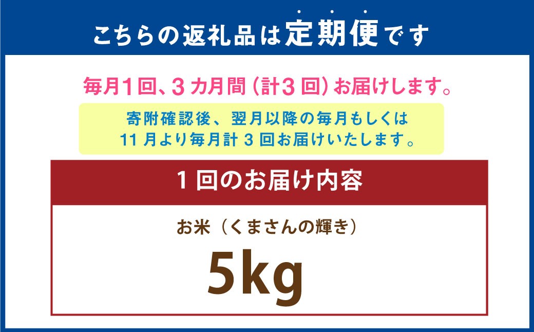 【年3回連続定期便】 【令和7年度産】 熊本県産のお米 計15kg（5kg×3回） 