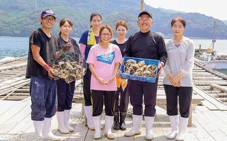 【冬が旬！小粒でぷりぷり】九十九島殻付かき 1.5kg (18~24個) 生食可 レモン ナイフ 軍手 説明書付き 出荷前にUV殺菌済み 週に1度ノロウイルスの検査および菌検査を実施【マルモ水産】牡蠣