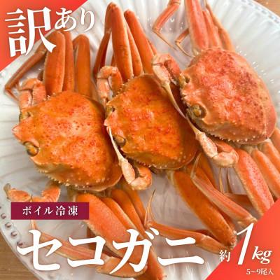 ふるさと納税 村上市 【数量・期間限定】【訳あり】新潟県村上市寝屋漁港産　セコガニ 約1kg(5〜9尾入)C4088