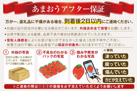 【いちご】いちご フルーツ あまおう 250g 3P 3回 総計 9p 【期間限定発送】