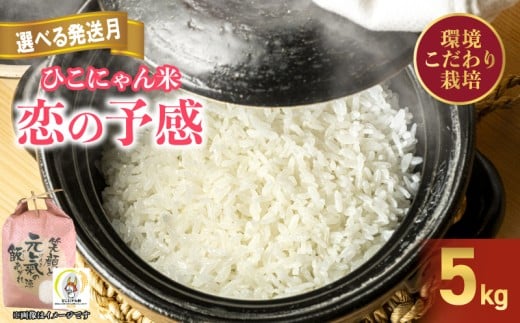 【1月発送】令和7年産 環境こだわり栽培 恋の予感 5kg ひこにゃん米 精米 米 お米 こめ ご飯 ごはん 白米 おにぎり お弁当 家庭用 こいのよかん 鹿谷ファーム 滋賀 彦根