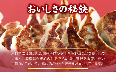 餃子専門店 宇都宮 悟空 ジャンボ餃子80個入
