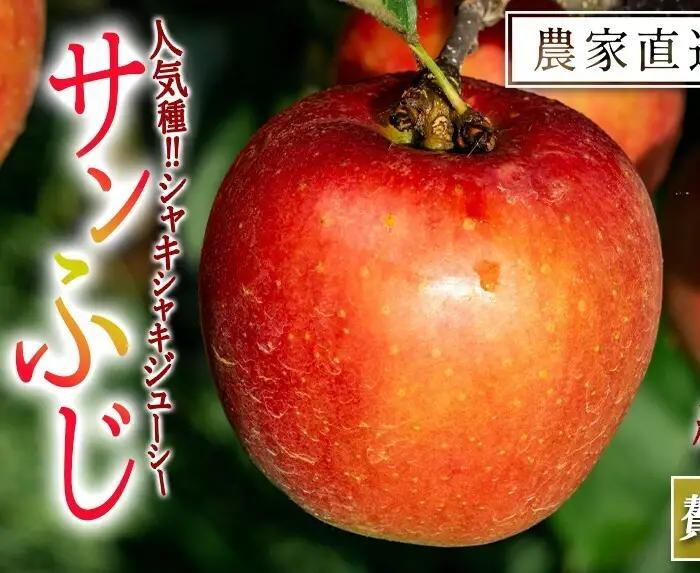 りんご サンふじ 贅沢な 家庭用 5kg 永野農園 沖縄県への配送不可 2026年12月上旬頃から2027年2月上旬頃まで順次発送予定 令和8年度収穫分 信州 果物 フルーツ リンゴ 林檎 長野 予約 農家直送 長野県 飯綱町 [0489]