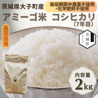 令和7年産新米 アミーゴ米2kg(コシヒカリ・天日干し)【自然の力　栽培期間中農薬・化学肥料不使用】【配送不可地域：離島・沖縄県】【1702214】