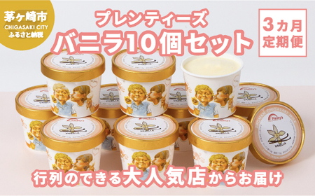 アイスクリーム プレンティーズ バニラ アイスクリーム【10個】【定期便 3ヵ月】