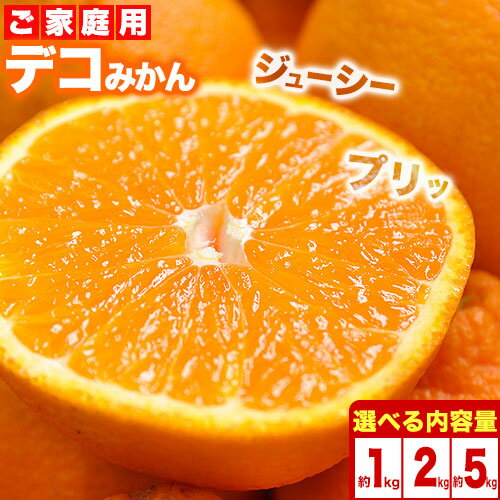 【ふるさと納税】デコポン ( 不知火 )と同品種！デコみかん 熊本県産 (津奈木町産含む) 訳あり 選べる容量 2kg 5kg 8kg 柑橘《2月中旬-4月末頃出荷》 みかん フルーツ 不知火 先行予約 訳あり 訳アリ ご家庭用 でこみかん みかん 果物 予約受付