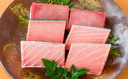 《プレミアム》極上天然南まぐろフルセット 鮮度抜群の南まぐろ大トロ・中トロ・赤身の6柵(合計約600g) マグロ 鮪 魚介 海鮮 南マグロ トロ 【海鮮まぐろ家】【B-350H】