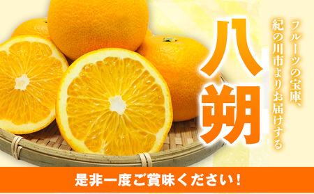 【先行予約】八朔 はっさく ネット入 約15kg JAわかやま 紀の里地域本部 