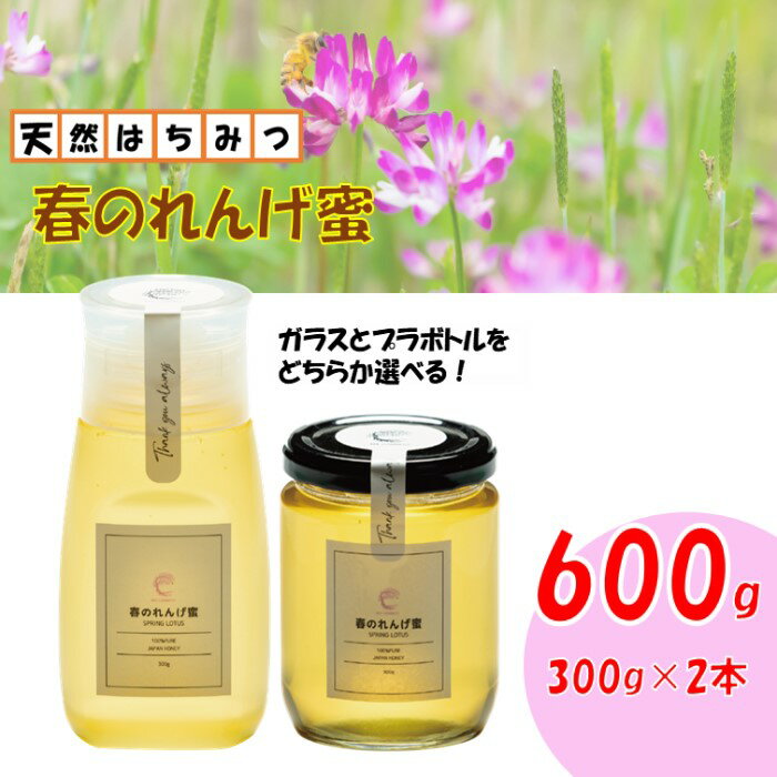 【ふるさと納税】春のれんげ蜜 2本 セット 合計600g (300g×2本) 鹿児島 はちみつ 蜂蜜 れんげ蜜 ASR-8108 はちみつ 蜂蜜 ハチミツ ミツバチ みつばち 蜜蜂 小分け 小分 便利 鹿児島県 薩摩川内市 送料無料
