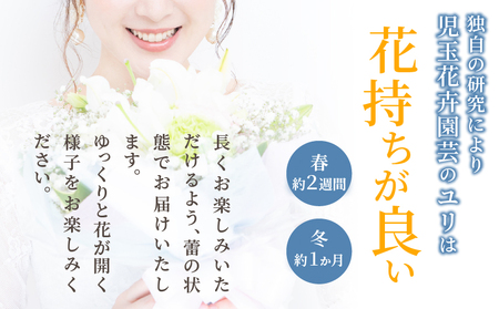 【2週間以内発送】≪期間限定≫LA ユリ(混合) 約15本 生花 切花 百合 国産_T045-0081