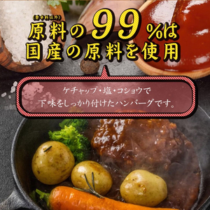 【矢野畜産】熊本県産 褐毛和種 あか牛 手ごね生ハンバーグ 150g×10個 計1.5kg 産地直送 手づくり 国産原料 和牛 あかげわしゅ にくやの プレミアム オリジナル メディア紹介 添加物不使