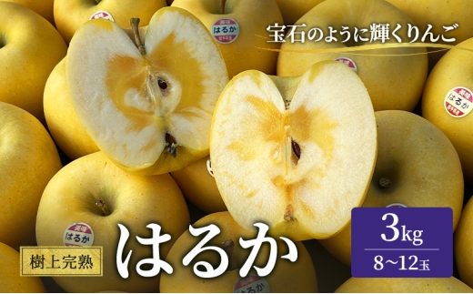 【先行予約】 はるか 樹上完熟 りんご 3kg 林檎 リンゴ 果物 はるか フルーツ おやつ デザート 旬の果物 旬のフルーツ 季節の果物 高級りんご はるか 季節のフルーツ 岩手りんご はるか 国産 産地直送 くだもの お取り寄せ 特産品 名産品 ご当地 自宅用 朝食 甘い 蜜入り 農家直送 岩手県 盛岡市 東北 岩手 盛岡 峰崎果樹園 minezaki004