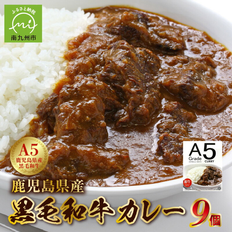 【ふるさと納税】5等級黒毛和牛カレー ごろごろお肉入り200gx9個