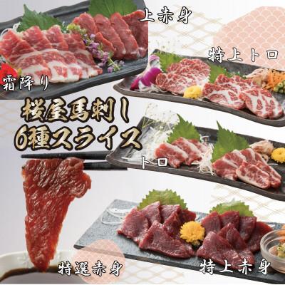 ふるさと納税 菊池市 馬刺しスライス6種 特上トロ・トロ・霜降り・特選赤身・特上赤身・上赤身(各100g)(菊池市)