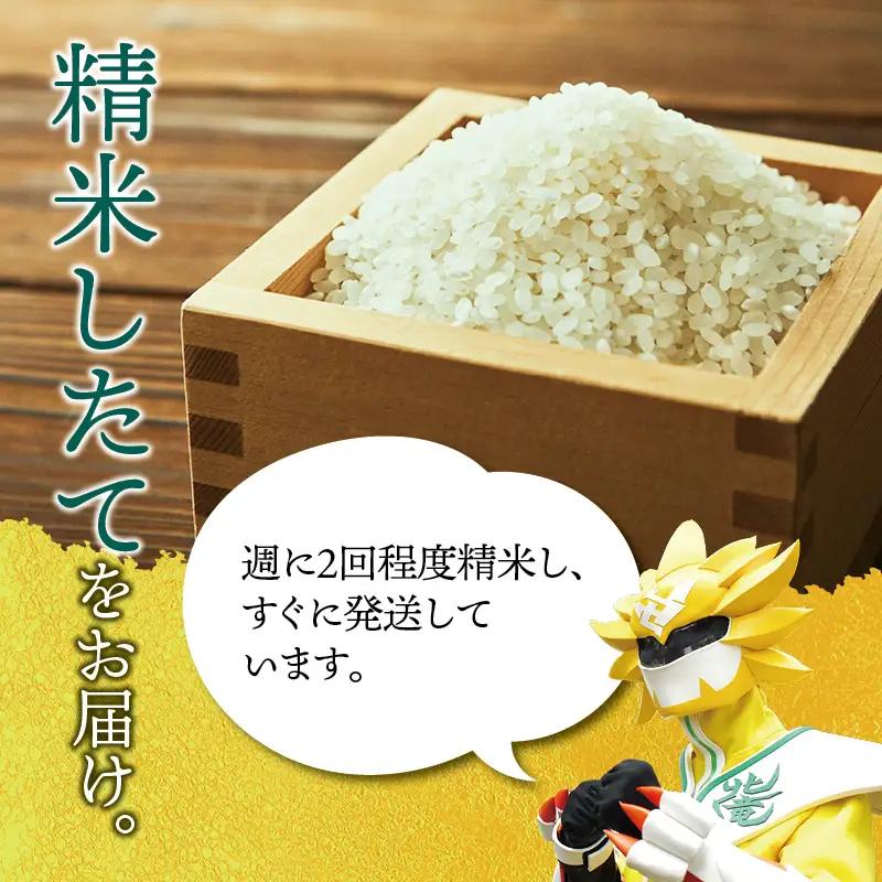 【令和8年産 新米 先行予約】 おぼろづき 10kg 北海道米【uni400-obo-r10-R8】