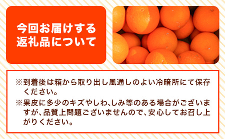 【ご家庭用】 清見オレンジ 約5kg オレンジ