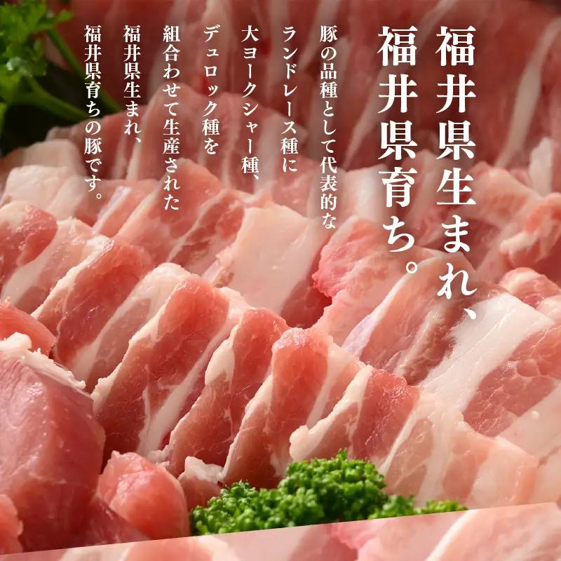 【ブランド豚】ふくいポーク 豚バラ焼肉 2.4kg（300g × 8パック）国産肉 冷凍 [e02-b019]