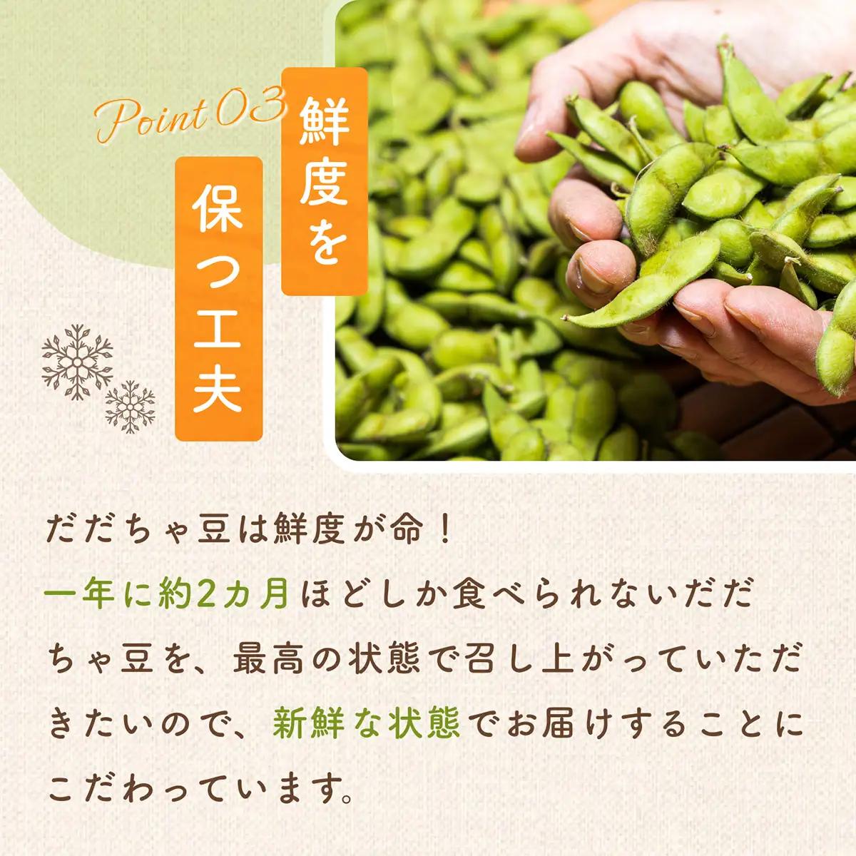【令和8年産先行予約】だだちゃ豆　(晩生) 1.5kg　 (500g×3袋) 　だだちゃ喜左衛門株式会社　