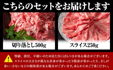 訳あり くまもと黒毛和牛 しゃぶしゃぶ すき焼き 750g セット 黒毛和牛 MEAT PLUS