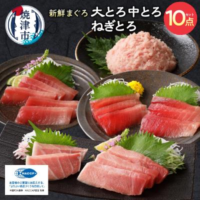 ふるさと納税 焼津市 マグロ 大トロ 中トロ ねぎとろ 詰合せ セット S9(a55-010)