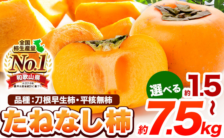 
            種が無いから食べやすい！たねなし柿（刀根早生柿・平核無柿） 選べる内容量 約1.5kg 約2kg 約4kg 約7.5kg 【先行予約】《2025年9月中旬-11月上旬頃出荷》 和歌山県 紀の川市 種なし柿 産地直送 柿 果物 フルーツ 2L～Mサイズ カキ
          