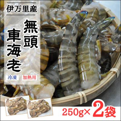 ふるさと納税 伊万里市 伊万里産【無頭】冷凍車海老(加熱用)250g×2pc