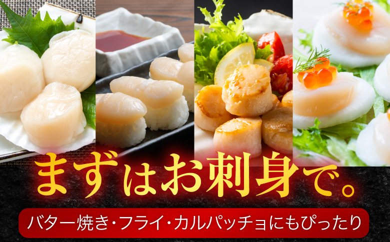 ＼漁業者応援品／お刺身用ほたて貝柱500g A-11002