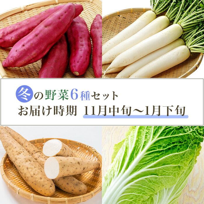 【ふるさと納税】660 茨城町 冬の野菜セット さつまいも にんじん だいこん チンゲン菜 長いも 白菜