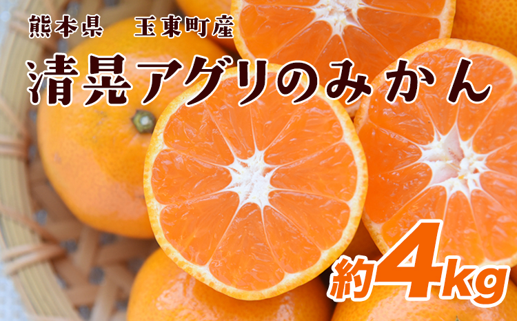 『清晃アグリ』のみかん★約4kg(2S-2Lサイズ) 予約受付中 フルーツ 秋 旬★熊本県玉名郡玉東町 健康な土で育つジューシーおいしいみかん！《11月中旬-12月末頃出荷》