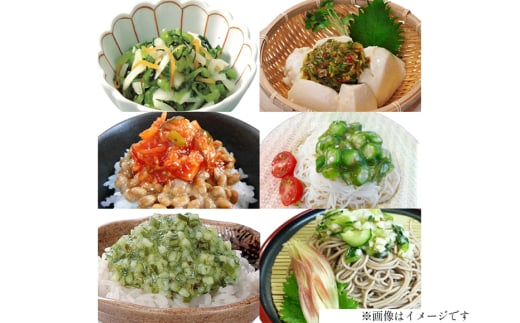 漬物 2回 定期便 詰め合わせ 3種 ( 山形のだし 2p おみ漬 2p わさび昆布 1p ねぎからし 2p 味付けオクラめかぶ 2p ごま油壷キムチ 1p ) [三和漬物食品 山形県 高畠町 tk06ayk200005] セット 漬け物 ご飯のお供